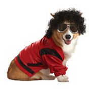 Pup-A-Razzi Pop King Dog Costume