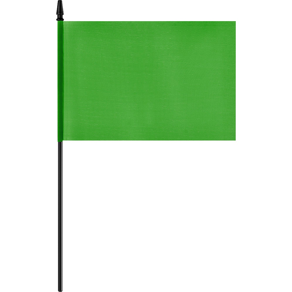 Зеленый флаг в россии. Зеленый флажок. Флажок на палочке в зеленом цвете. Ребенок с зеленым флажком. Флажок зеленого цвета для детей.