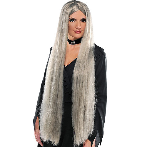 Extra Long Gray Wig Image #1