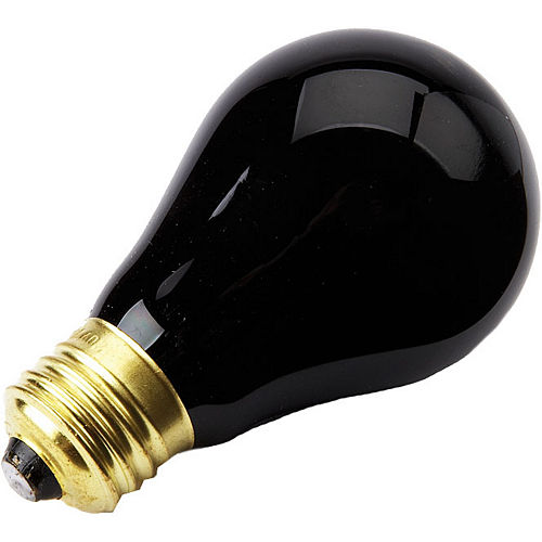 Nav Item for Classic Black Light Bulb Image #1