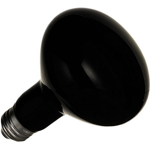 Nav Item for Black Light Spot Bulb Image #1