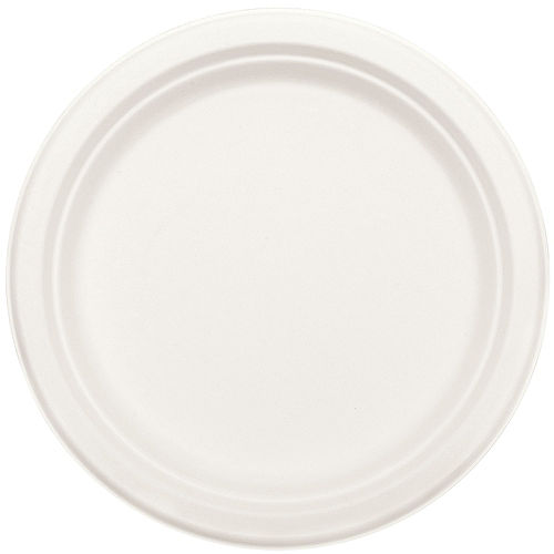 Eco-Friendly White Sugar Cane Dinner Plates 50ct Image #2