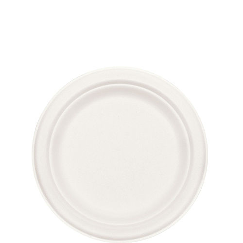 Eco-Friendly White Sugar Cane Dessert Plates 50ct Image #2