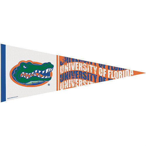 Florida Gators Pennant Flag Image #1