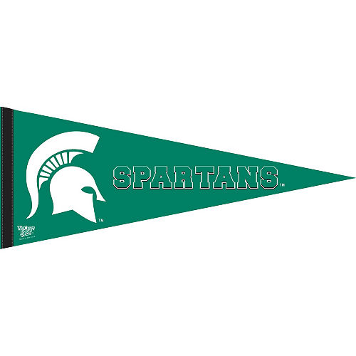 Michigan State Spartans Pennant Flag Image #1