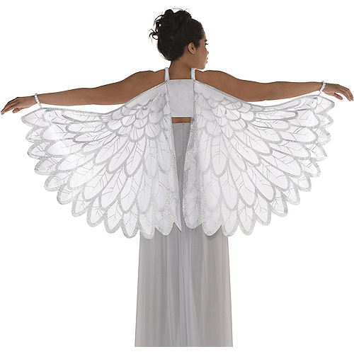 Adult Snow Fantasy Angel Wings Image #1