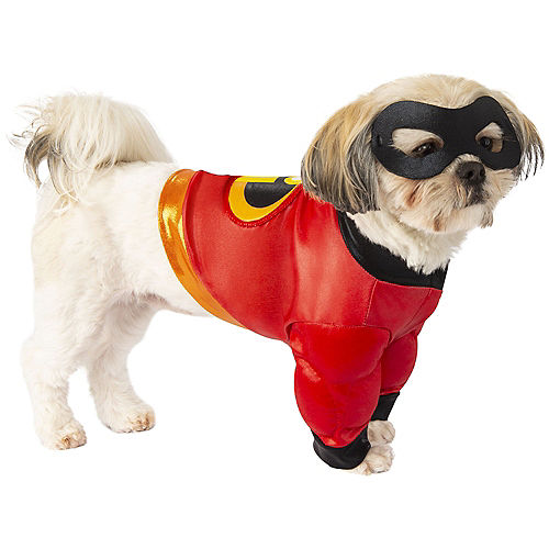 Incredibles Family Costumes Image #5