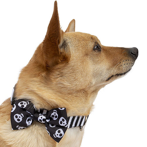 Nav Item for Black & White Skull Halloween Bow Tie Collar for Dogs Image #1